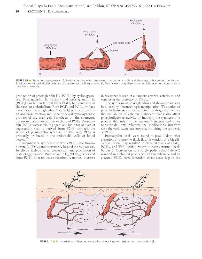 Local Flaps in Facial Reconstruction: Baker MD, Shan R